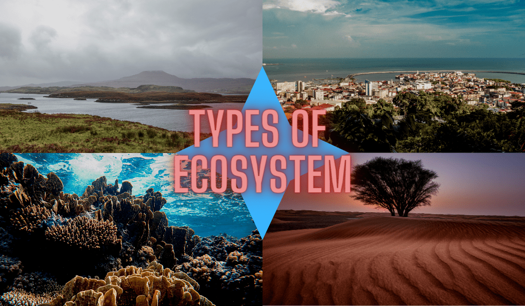 Different Types of Ecosystem