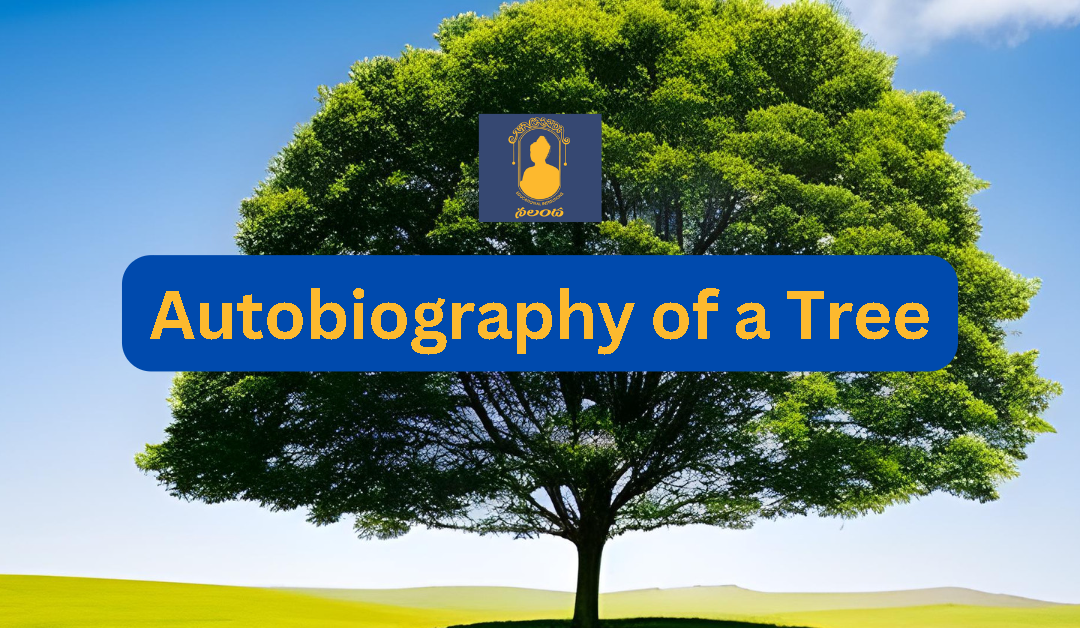 Autobiography of a Tree