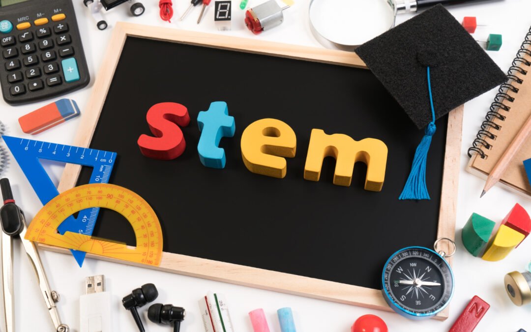 What is STEMSS and Why it Matters for Future
